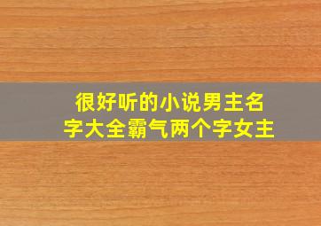 很好听的小说男主名字大全霸气两个字女主