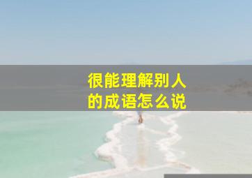 很能理解别人的成语怎么说