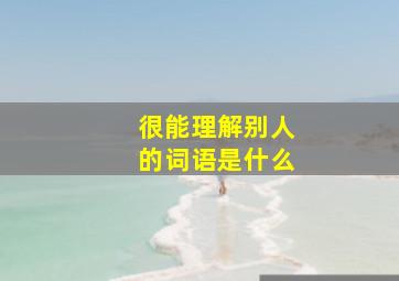 很能理解别人的词语是什么