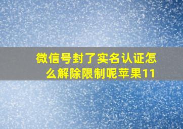 微信号封了实名认证怎么解除限制呢苹果11