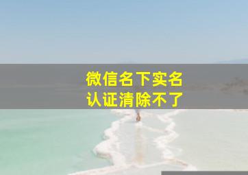 微信名下实名认证清除不了