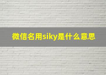 微信名用siky是什么意思