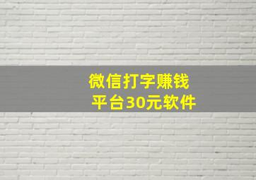 微信打字赚钱平台30元软件