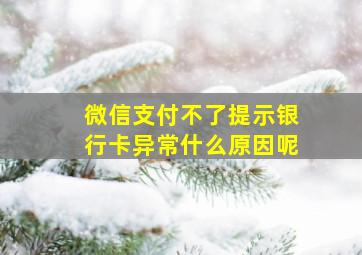 微信支付不了提示银行卡异常什么原因呢