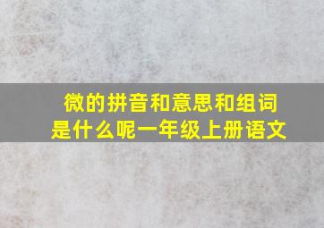 微的拼音和意思和组词是什么呢一年级上册语文