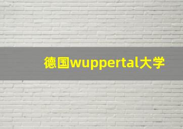 德国wuppertal大学