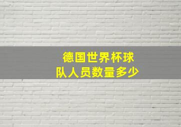 德国世界杯球队人员数量多少