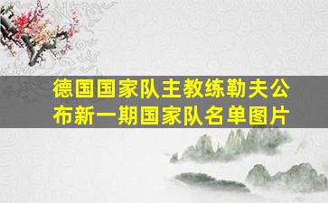 德国国家队主教练勒夫公布新一期国家队名单图片