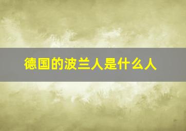 德国的波兰人是什么人