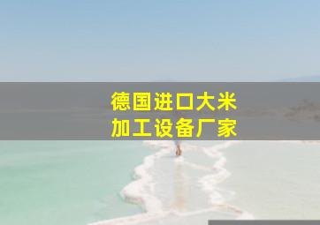 德国进口大米加工设备厂家