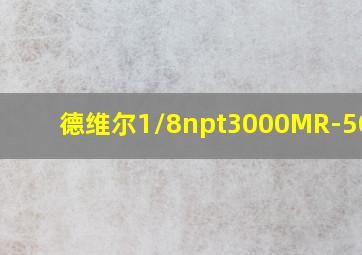 德维尔1/8npt3000MR-500PA