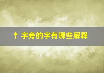 忄字旁的字有哪些解释