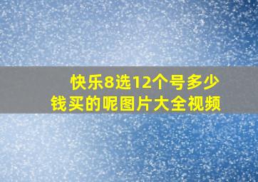 快乐8选12个号多少钱买的呢图片大全视频