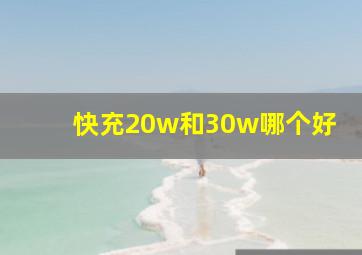 快充20w和30w哪个好