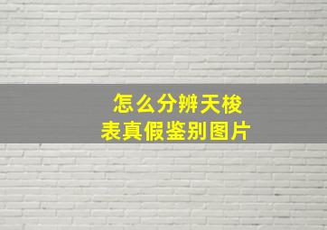 怎么分辨天梭表真假鉴别图片