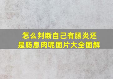 怎么判断自己有肠炎还是肠息肉呢图片大全图解