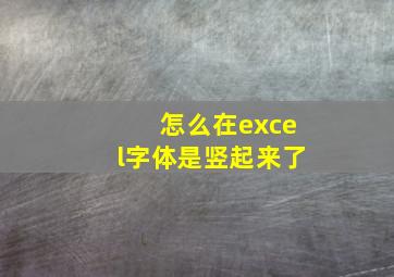 怎么在excel字体是竖起来了