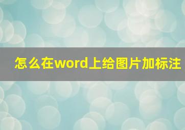 怎么在word上给图片加标注