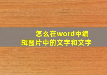 怎么在word中编辑图片中的文字和文字