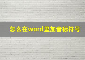 怎么在word里加音标符号