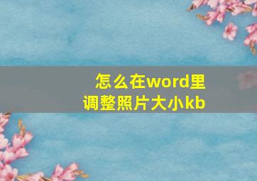 怎么在word里调整照片大小kb