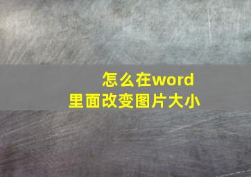 怎么在word里面改变图片大小