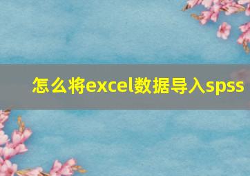 怎么将excel数据导入spss