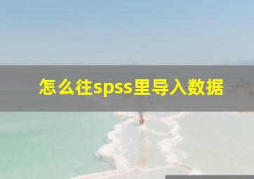 怎么往spss里导入数据