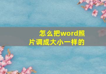 怎么把word照片调成大小一样的