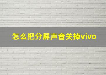 怎么把分屏声音关掉vivo