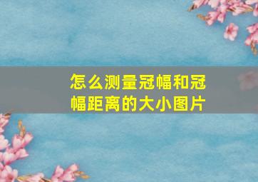 怎么测量冠幅和冠幅距离的大小图片