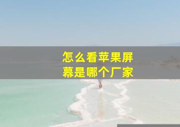 怎么看苹果屏幕是哪个厂家