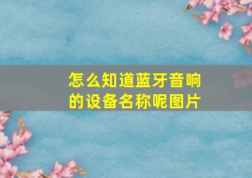 怎么知道蓝牙音响的设备名称呢图片