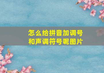 怎么给拼音加调号和声调符号呢图片