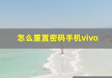 怎么重置密码手机vivo