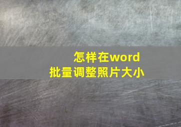 怎样在word批量调整照片大小