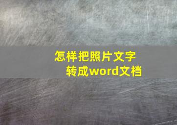 怎样把照片文字转成word文档