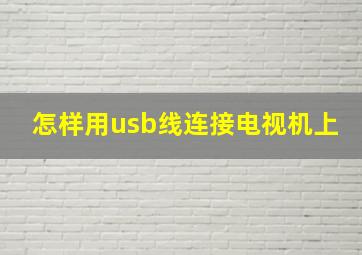 怎样用usb线连接电视机上