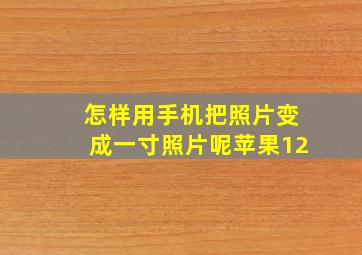 怎样用手机把照片变成一寸照片呢苹果12