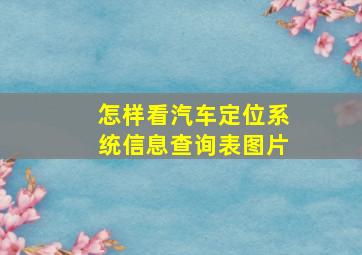 怎样看汽车定位系统信息查询表图片