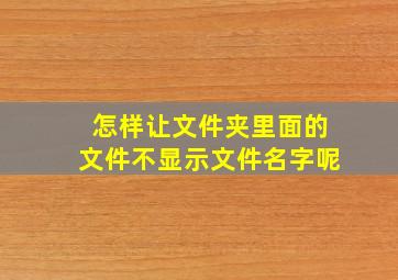 怎样让文件夹里面的文件不显示文件名字呢