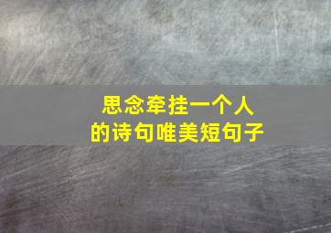 思念牵挂一个人的诗句唯美短句子