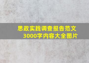 思政实践调查报告范文3000字内容大全图片