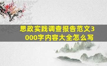 思政实践调查报告范文3000字内容大全怎么写