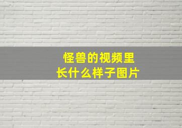 怪兽的视频里长什么样子图片