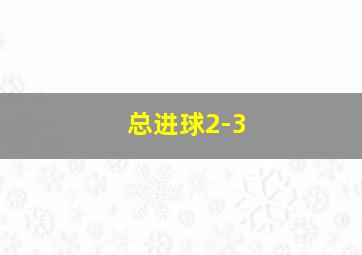 总进球2-3