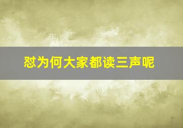 怼为何大家都读三声呢