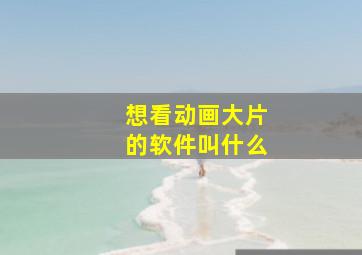 想看动画大片的软件叫什么