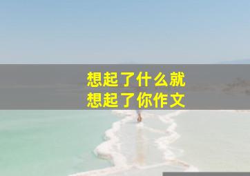 想起了什么就想起了你作文