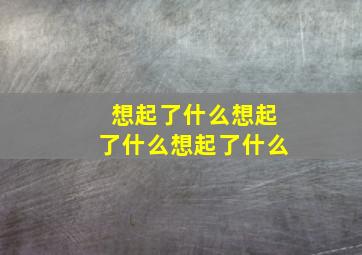 想起了什么想起了什么想起了什么